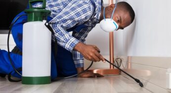 How to Prepare for a Pest Treatment for Your Orange County Home