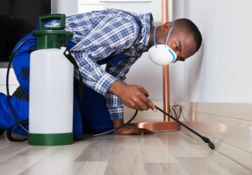 How to Prepare for a Pest Treatment for Your Orange County Home - pest, home, control, clean