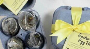 Craft With Egg Box – Perfect Ideas to Get Inspired!