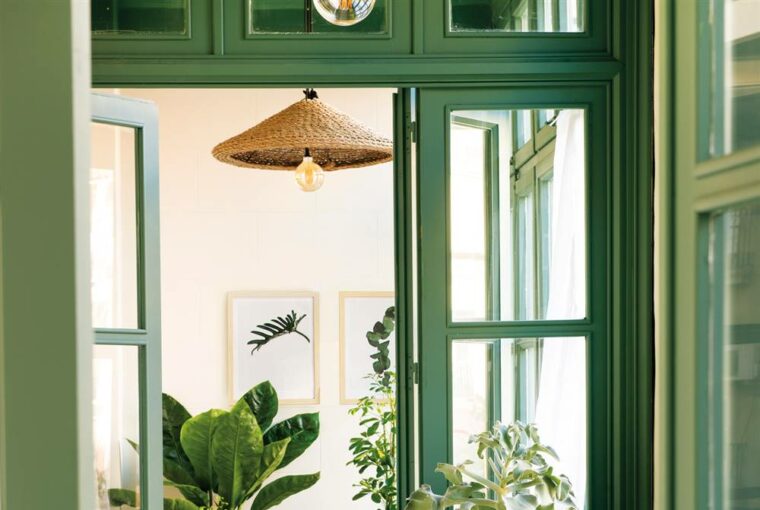 How To Protect Our Plants In Winter How To Protect Our Plants In Winter - Terrace, style motivation, outdoor plants, home plants, green house, garden, flower protection