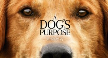 Dog Movies You Should See