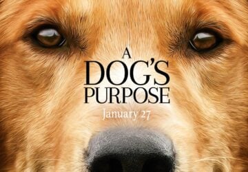 Dog Movies You Should See - style motivation, pets, movies, dogs, dog movies