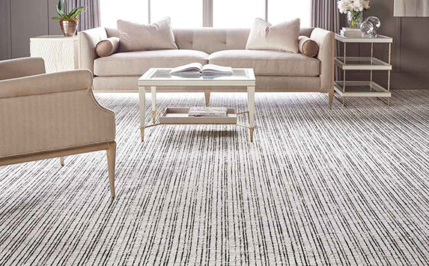 4 Health-Related Reasons Why Your Carpets Need Regular Steam Cleaning - vacuum cleaner, steam cleaning, dust, carpet