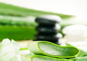 Make Aloe Vera Your Best Ally If You Have Oily Skin - style motivation, skin types, skin, oily skin, healthy skin, beauty, aloe vera for oily skin, aloe vera