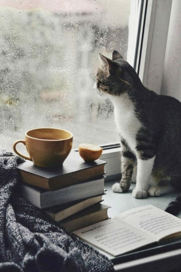 Pinterest Pinterest