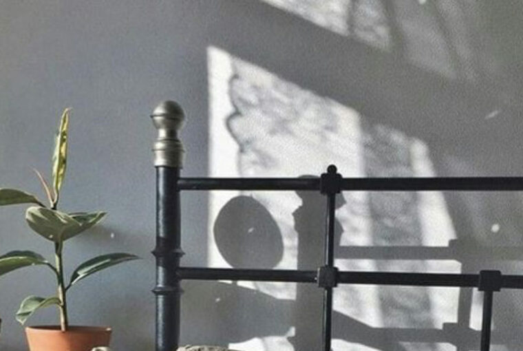 Cat Photography Inspiration Cat Photography Inspiration - style motivation, style, motivation, cats, cat photography, cat inspiration, cat and decoration, animals