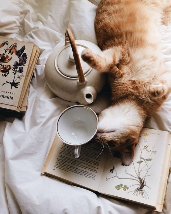 Pinterest