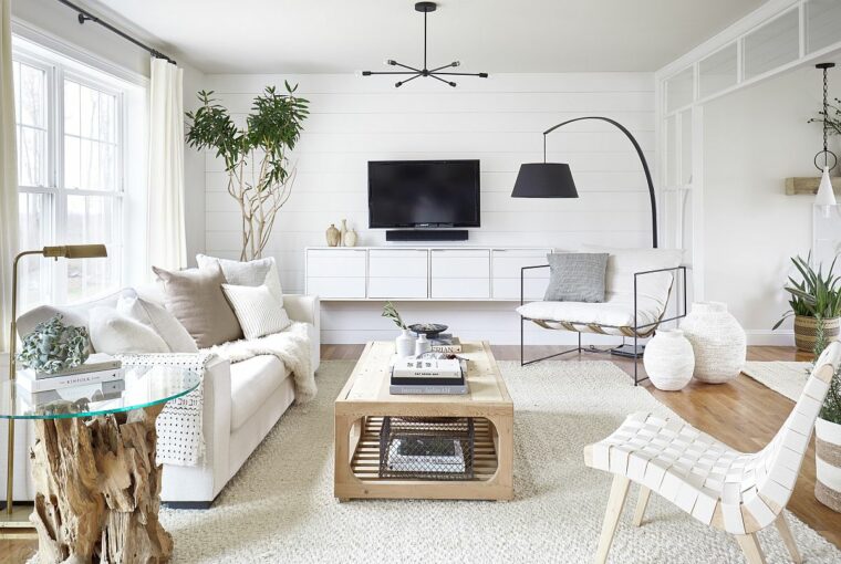 A Place to Relax: Living Room Essentials A Place to Relax: Living Room Essentials - sofa, rugs, Plants, Living room, lighting, essentials, coffee table, art