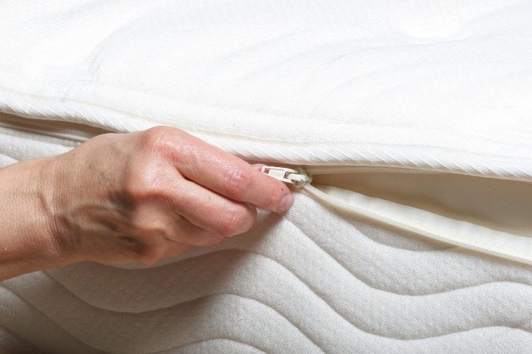 What Tools Do Pest Professionals Use on Bed Bugs? What Tools Do Pest Professionals Use on Bed Bugs? - scary, pesticides, environmentally friendly, creepy, bed bugs