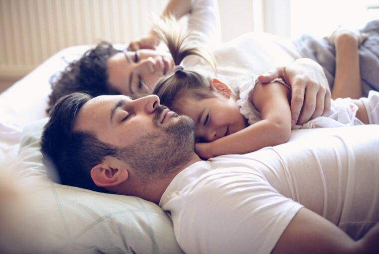 Getting Your House Back to Normal After a Bed Bug Infestation Getting Your House Back to Normal After a Bed Bug Infestation - preventative, measures, infestation, get rid of them, fix furniture, bed bugs, back to normal