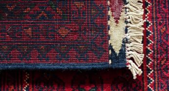 How to Choose the Perfect Carpet During Your Home Renovation Project
