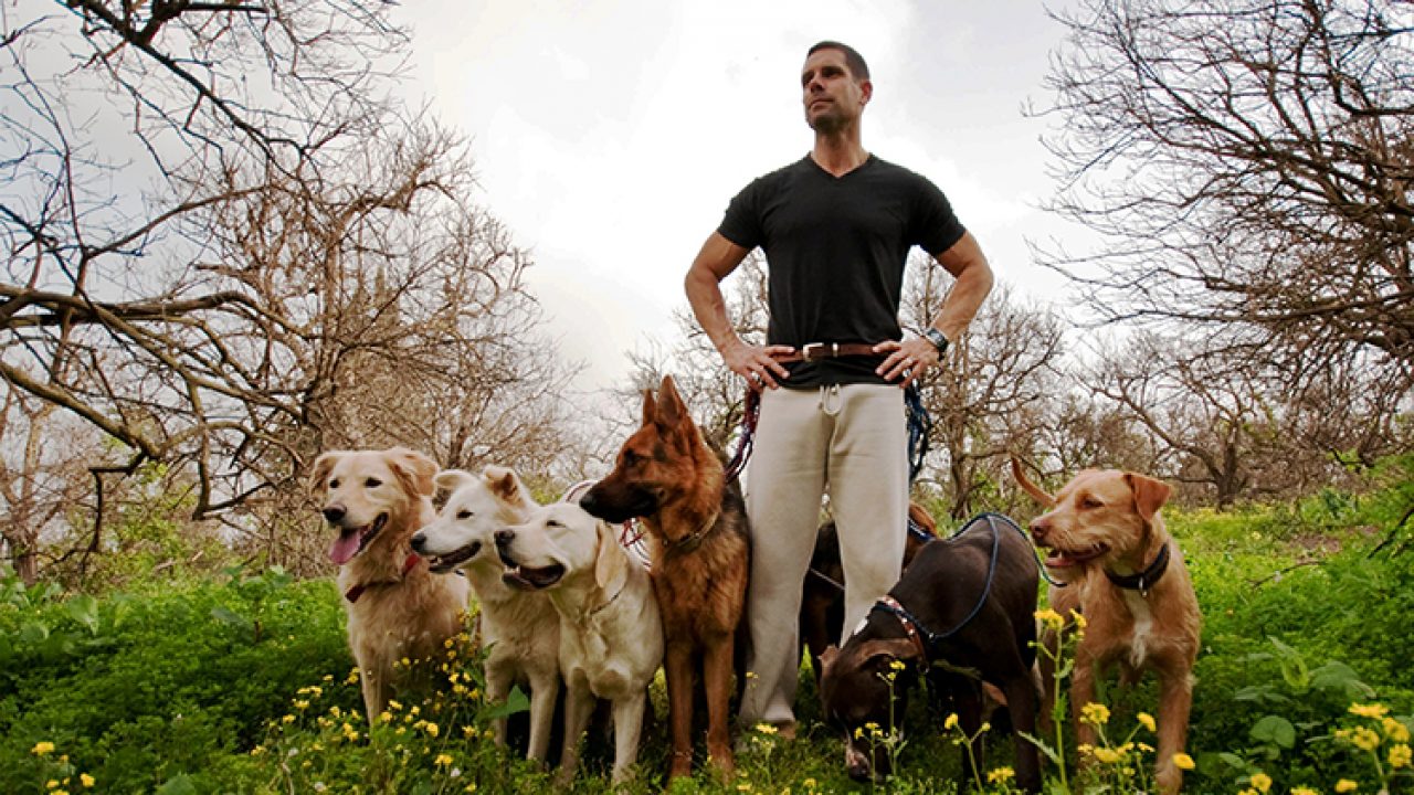 Who Is The Best Dog Trainer In The World
