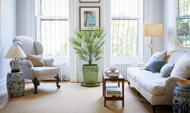 Four Accessories To Take Your Living Room Functionality to the Next Level - Plants, Living room, interior design, home decor, home, furniture, decoration