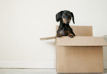 6 Handy Packing and Unpacking Tips for a Stress-Free Moving Day - unpacking, stress free, packing, moving