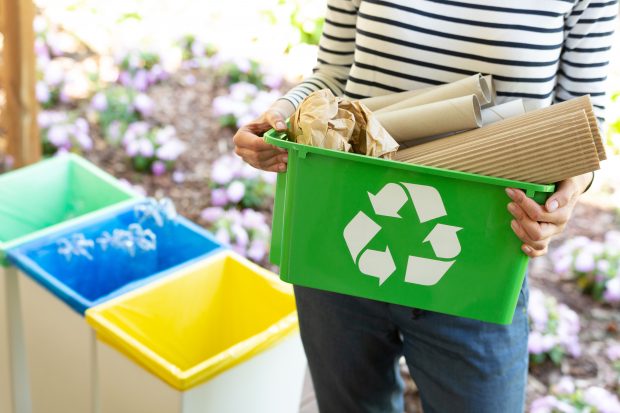 Creating A Greener Home: 3 Eco-Friendly Practices To Start Today - recycle, green home