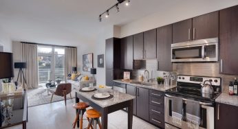 5 Ways to Theme the Decorations in Your Apartment