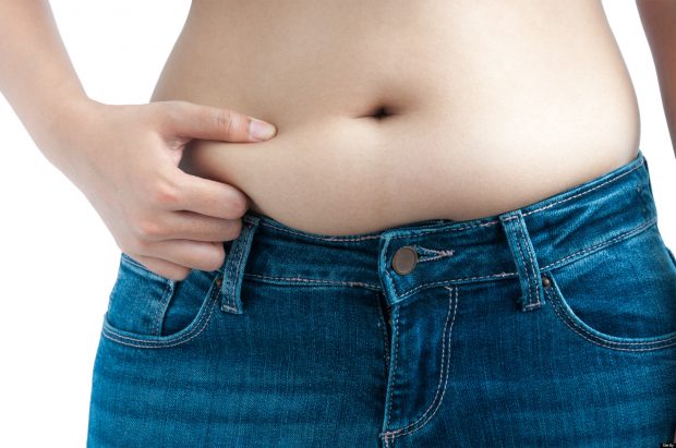 Pinching Belly Fat Pinching Belly Fat