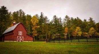 Barns for Horses: Benefits of Building One