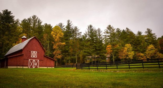 Building a barn for sick or injured horses