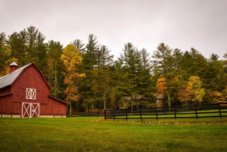Barns for Horses: Benefits of Building One Building a barn for sick or injured horses