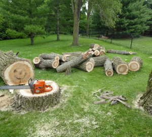 Explore All Types of Landscaping & Gardening Services Explore All Types of Landscaping & Gardening Services - outdoors, landscape, home, garden, design