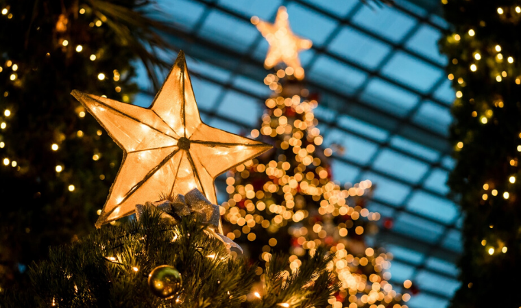 Elegant Gift To Give This Holiday Season Elegant Gift To Give This Holiday Season - subscription, season, ornament, luxury, holiday, gift, Elegant, celebration, boxes