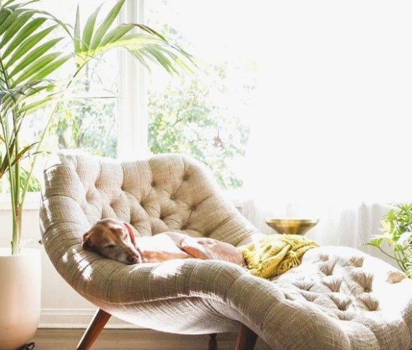 How to Choose Comfy Lounge Chairs for Living Room? How to Choose Comfy Lounge Chairs for Living Room? - longe, interior design, home, chair