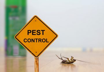 The Do’s And Don’ts Of Pest Control - pest, Lifestyle, home, control, clean