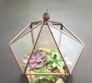 Nature in a Glass: Create Your Own Terrarium - terrarium, Plants, home, diy, decoration