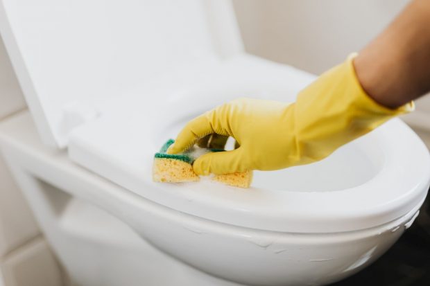 6 Tips To Help Prevent And Deal With A Clogged Toilet - toilet, home, cleaning