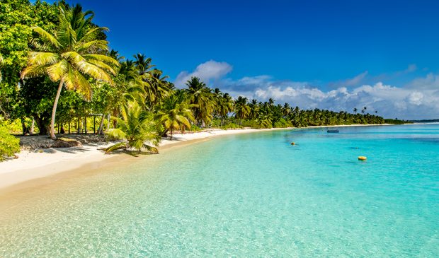 The Sand-Seeker: Exploring the World's Top Beach Destinations - travel, sand, philippines, maldives, hawaii, brazil, beach