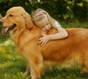 The 5 Best Family Dog Breeds - family dog, dogs, breed