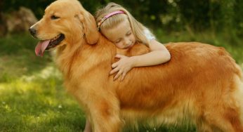 The 5 Best Family Dog Breeds
