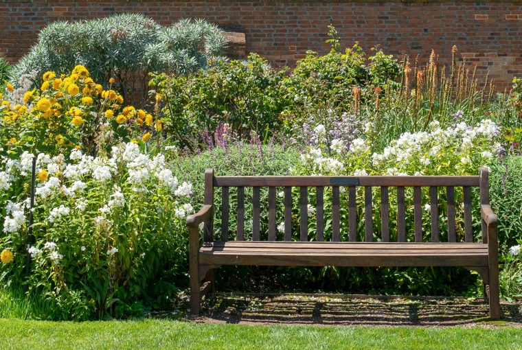 6 Myths Holding Your Garden Back From Its Full Potential 6 Myths Holding Your Garden Back From Its Full Potential - tomatoes, Plants, organic, garden, fertilizer