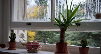 5 Ways to Reduce Indoor Air Pollutants