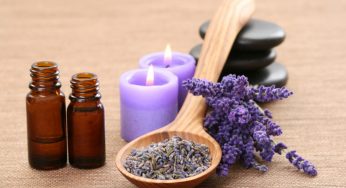 Ideal Essential Oils to Deal with House Odors