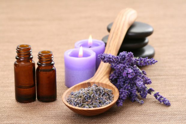 Ideal Essential Oils to Deal with House Odors - myrtle, lemon, eucalyptus, essential oil