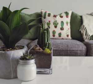 Are the Fundamentals of Your Home Set Up? - interior design, home, design