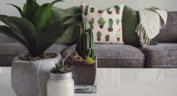 Are the Fundamentals of Your Home Set Up?