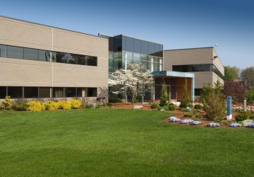 Why Commercial Landscaping Services Are Necessary - service, maintenance, landscaping, commercial