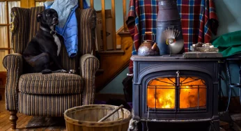 Why You Should Consider a Wood Stove for Your House