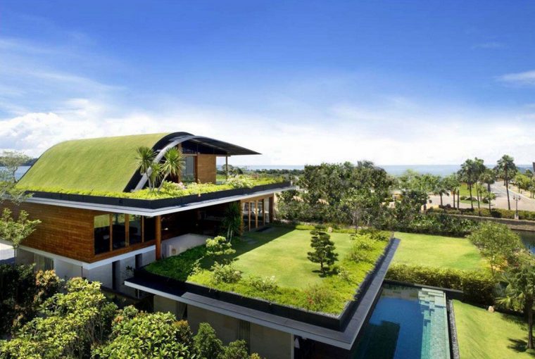 Simple Swaps for an Eco-Friendly Home Simple Swaps for an Eco-Friendly Home - home, green house, eco-friendly, \