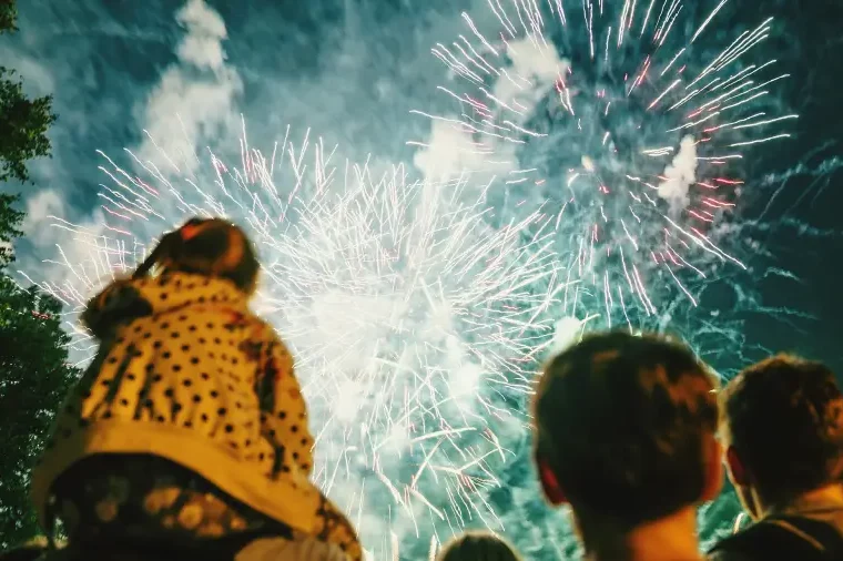 How to Put Together a Great Fireworks Show at Home How to Put Together a Great Fireworks Show at Home - show, home, garden, fireworks