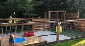 Pet space: what is it, benefits and care in condominiums