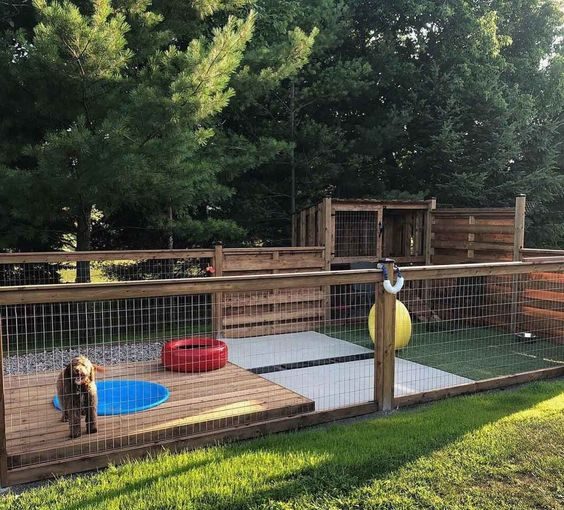 Pet space: what is it, benefits and care in condominiums Pet space: what is it, benefits and care in condominiums - style motivation, pet space, pet safety, pet place, animals