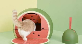 Kitty litter tricks to get rid of bad smells