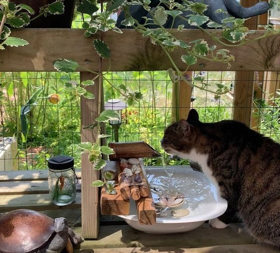 Top 10 Cat-Friendly Balcony Ideas Top 10 Cat-Friendly Balcony Ideas - style motivation, style, pets welfare, pets, cats, balcony improvements for cats