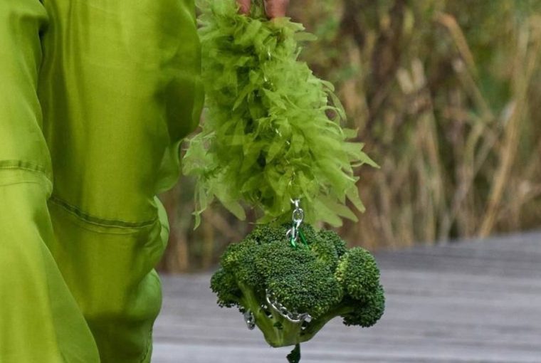 New Bags with broccoli, pigeon form making waves on the fashion scene New Bags with broccoli, pigeon form making waves on the fashion scene - women fashion, trash bag, style motivation, style, pigeon bag, men fashion, fashion style, fashion, broccoli bag, Balenciaga It bags, Balenciaga bags, Bags
