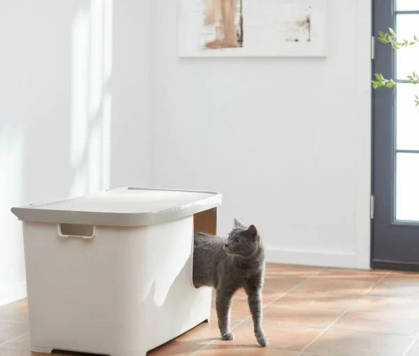 Litter boxes that sweep out and your cat won't refuse Litter boxes that sweep out and your cat won't refuse - style motivation, style, litter box, fashion style, fashion, cats, cat's litter