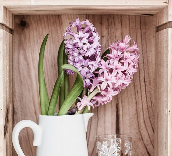 The season for hyacinths - how to decorate the house The season for hyacinths - how to decorate the house - style motivation, season of hyacinths, Plants, plant decor, home decor